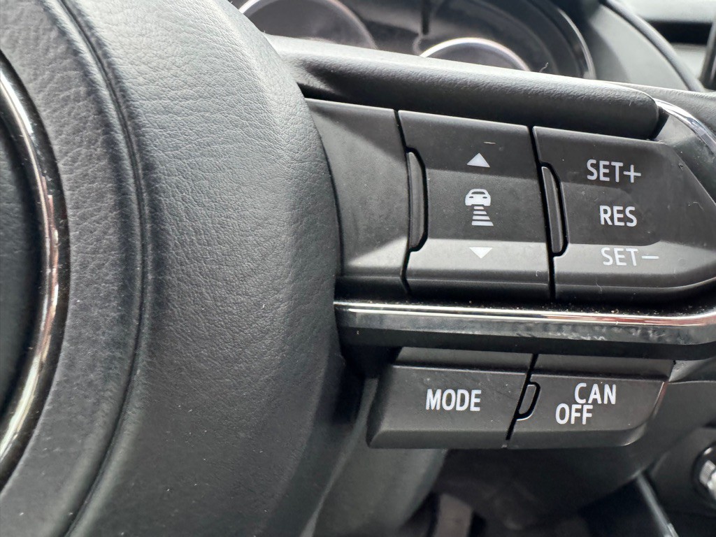 2016 Mazda CX-9 Image 13