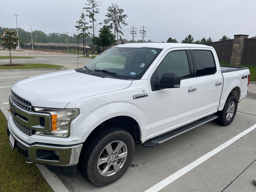 2019 Ford F-150 Image 1