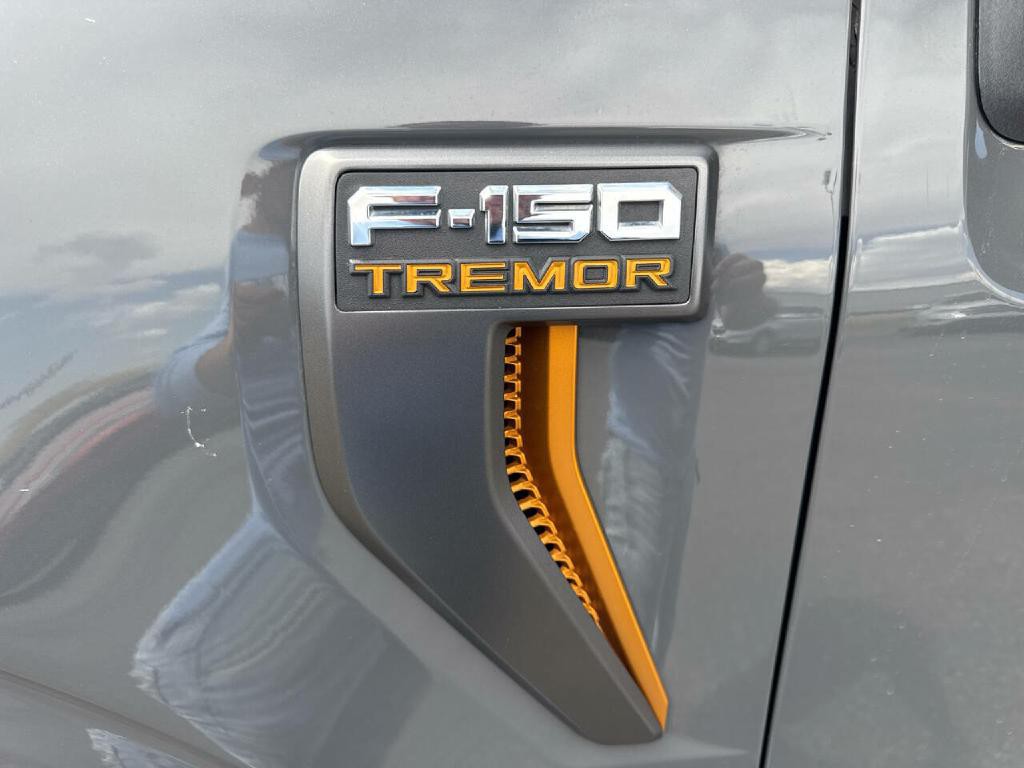 2021 Ford F-150 Image 11