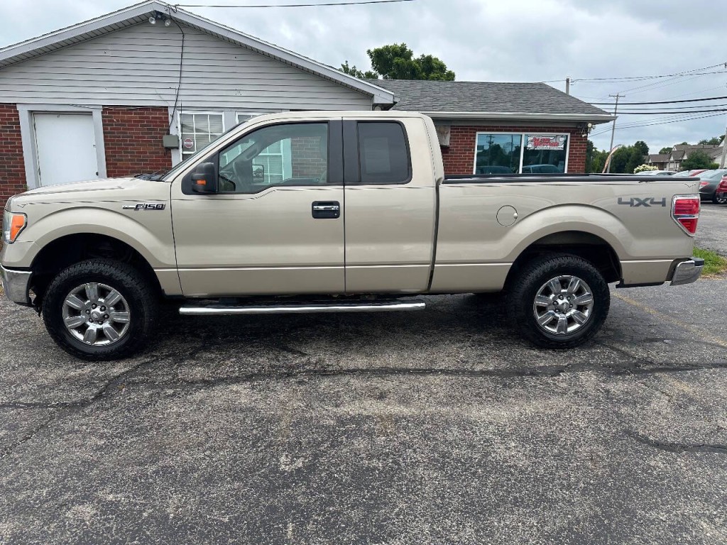 2010 Ford F-150 Image 4