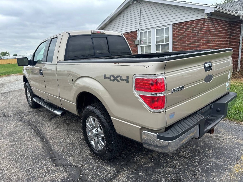 2010 Ford F-150 Image 5