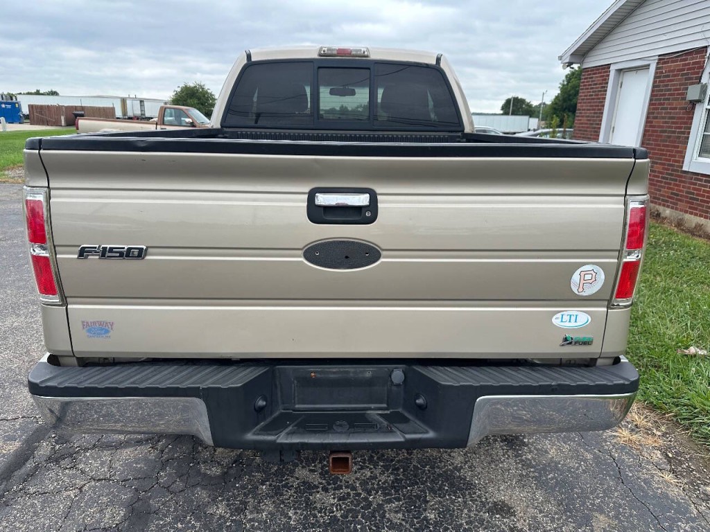 2010 Ford F-150 Image 6