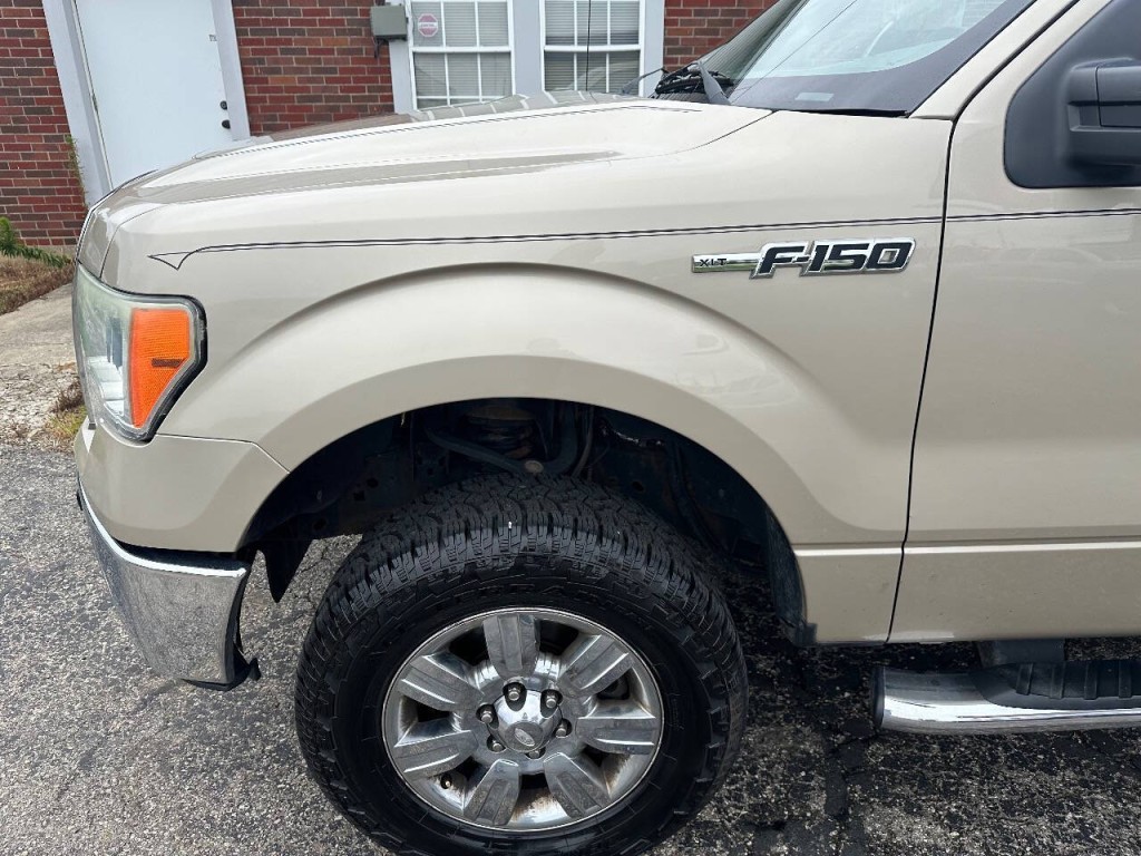 2010 Ford F-150 Image 9