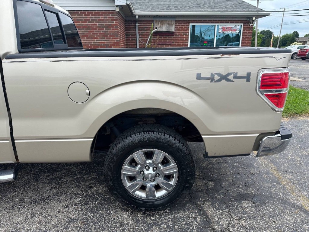 2010 Ford F-150 Image 12