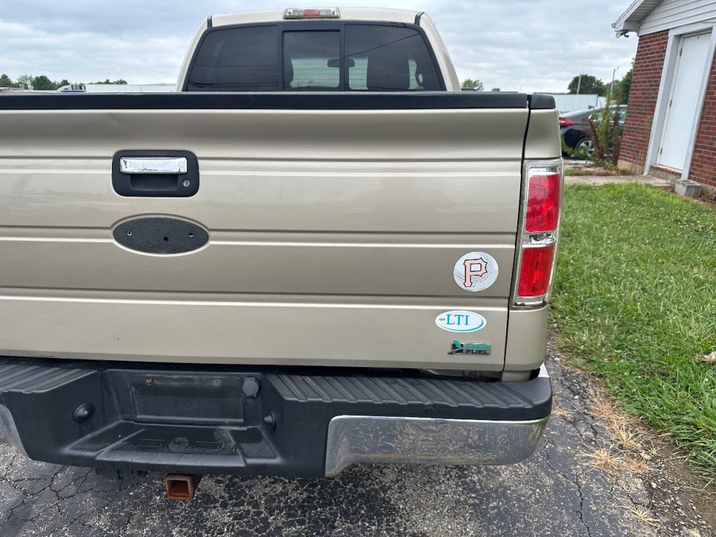 2010 Ford F-150 Image 16