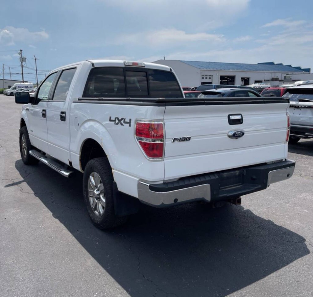 2014 Ford F-150 Image 3