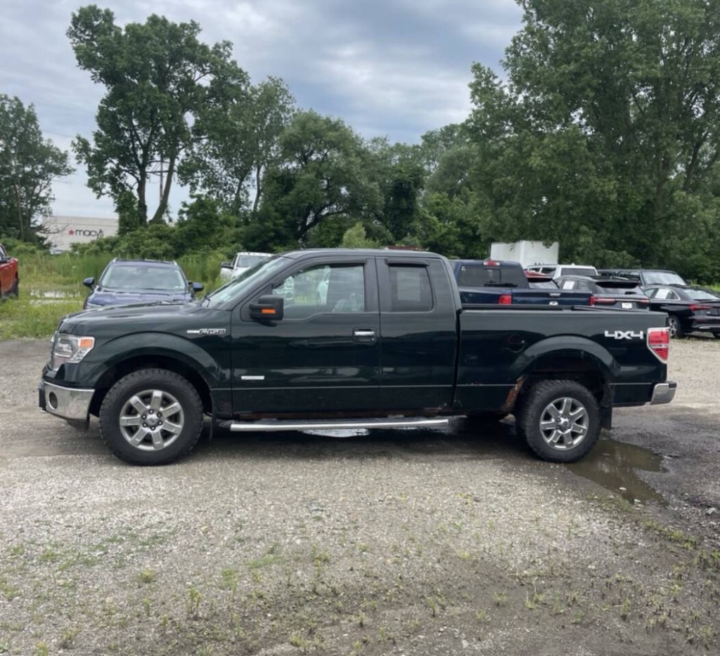 2014 Ford F-150 Image 2