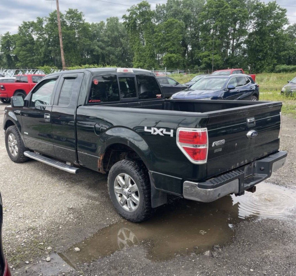 2014 Ford F-150 Image 3