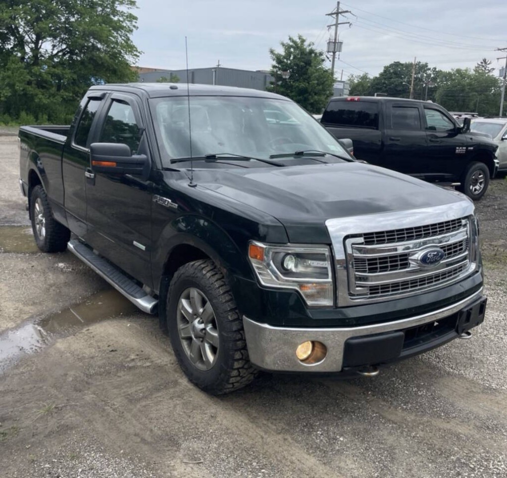 2014 Ford F-150 Image 6