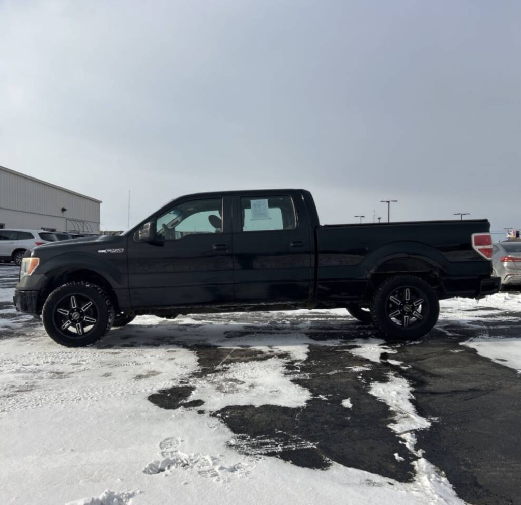 2009 Ford F-150 Image 5