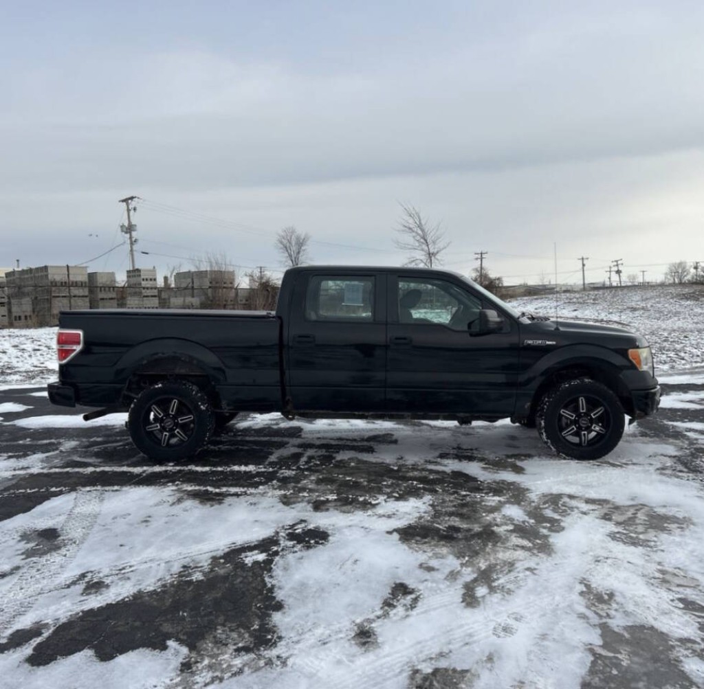 2009 Ford F-150 Image 6