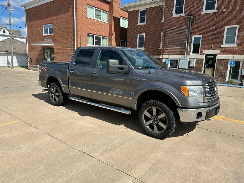 2010 Ford F-150 Image 4