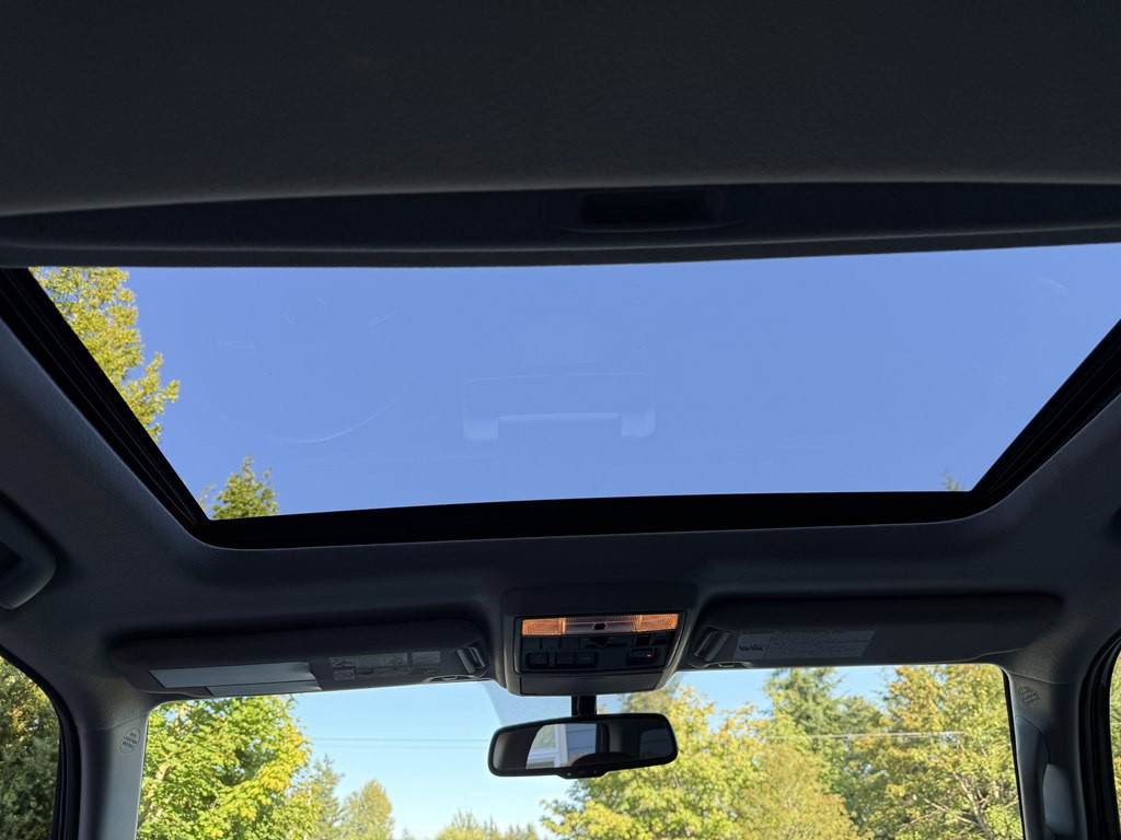 2010 Toyota 4Runner Image 17