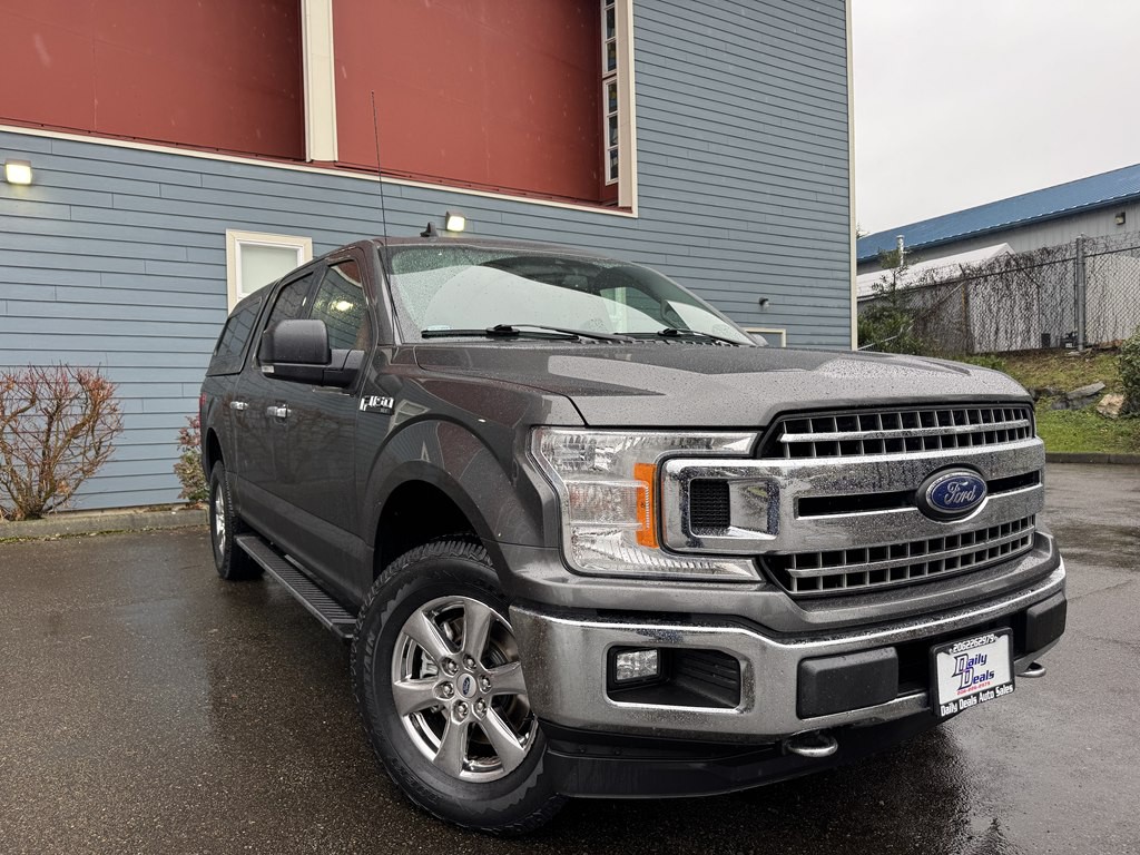 2019 Ford F-150 Image 1