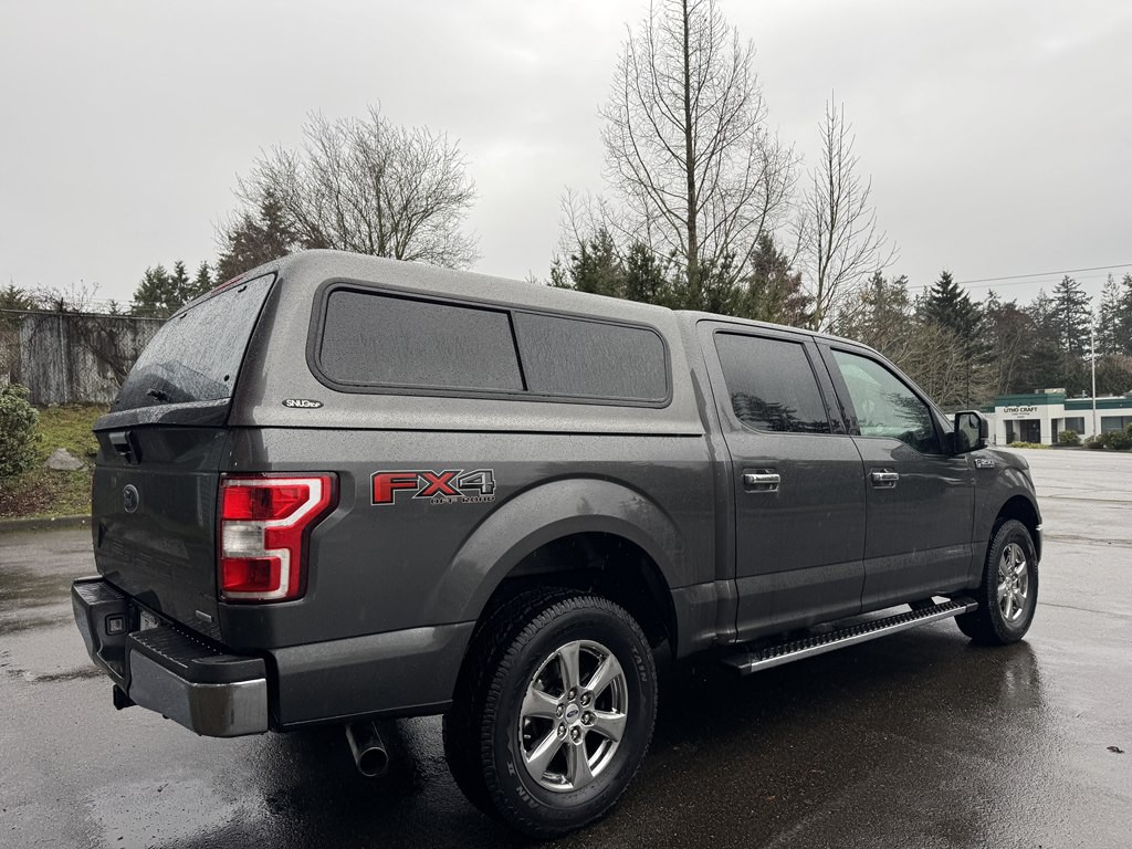 2019 Ford F-150 Image 3
