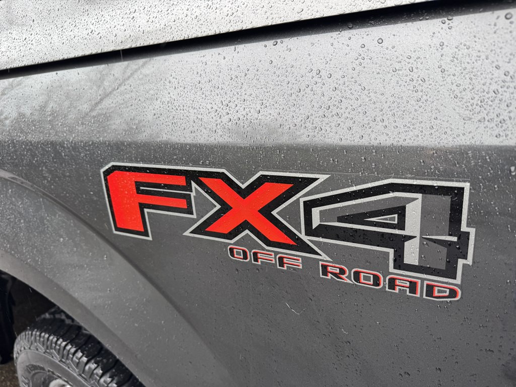 2019 Ford F-150 Image 10