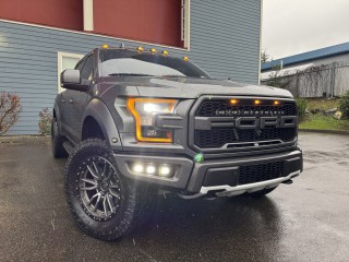 Image for 2019 Ford F-150 Raptor ID: 7187523