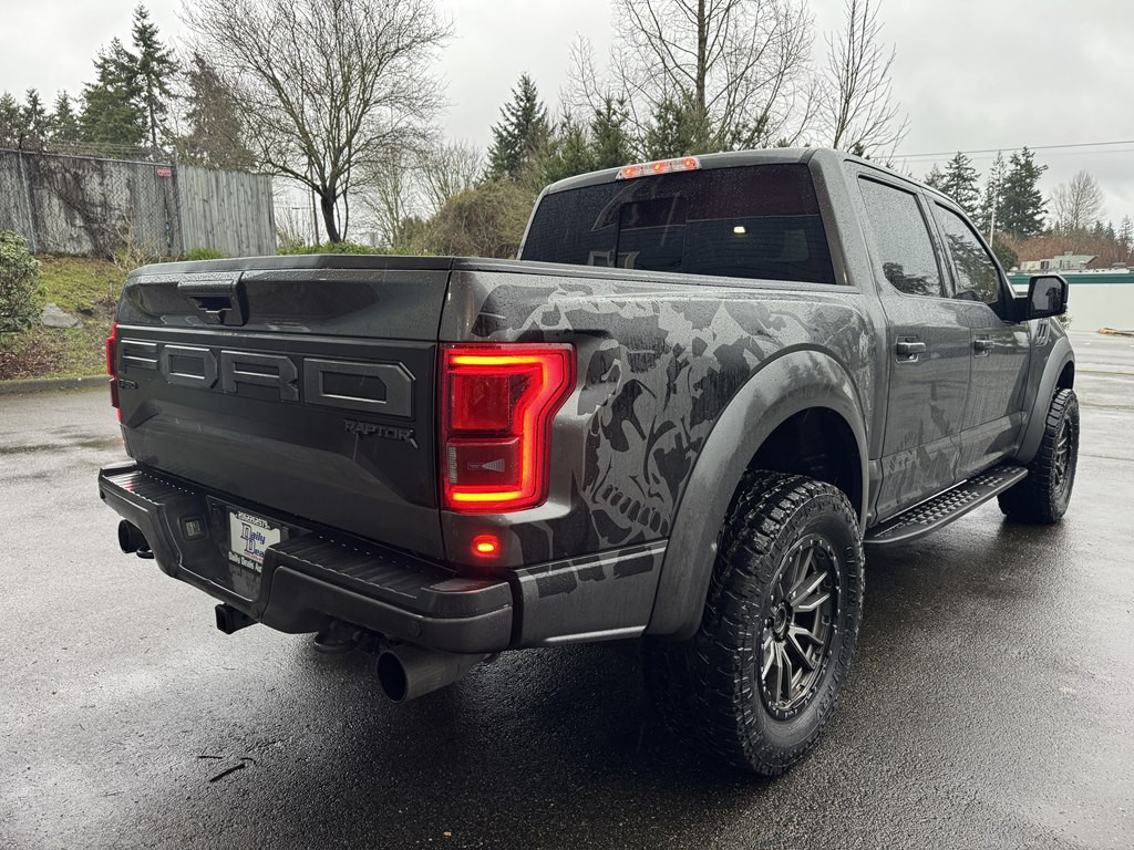 2019 Ford F-150 Image 3