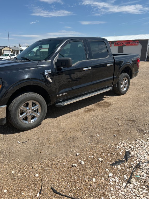 2024 Ford F-150 Image 2