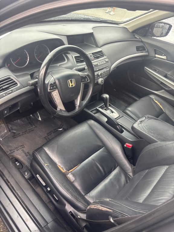2010 Honda Accord Image 6