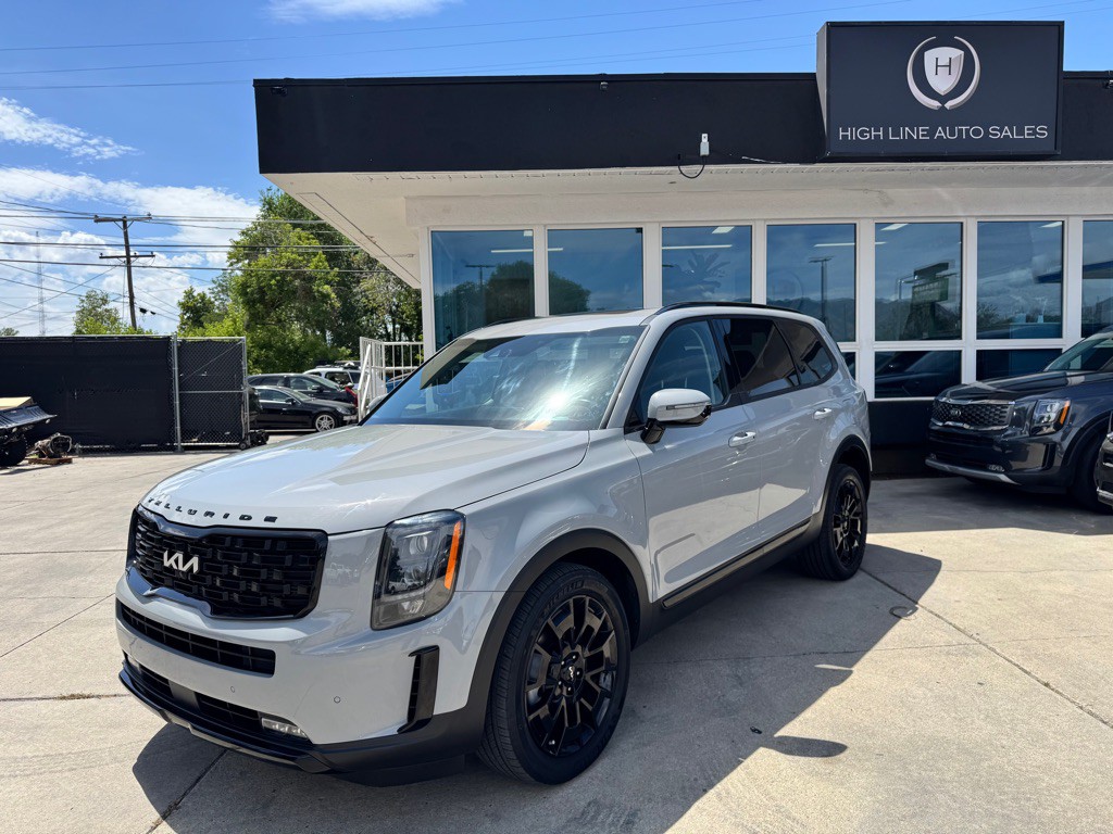2022 Kia Telluride Image 3