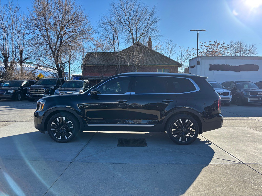2023 Kia Telluride Image 5