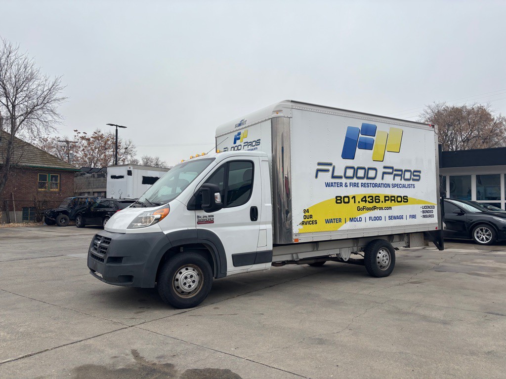 2015 RAM Promaster Image 4