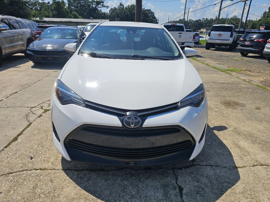 2019 Toyota Corolla Image 1