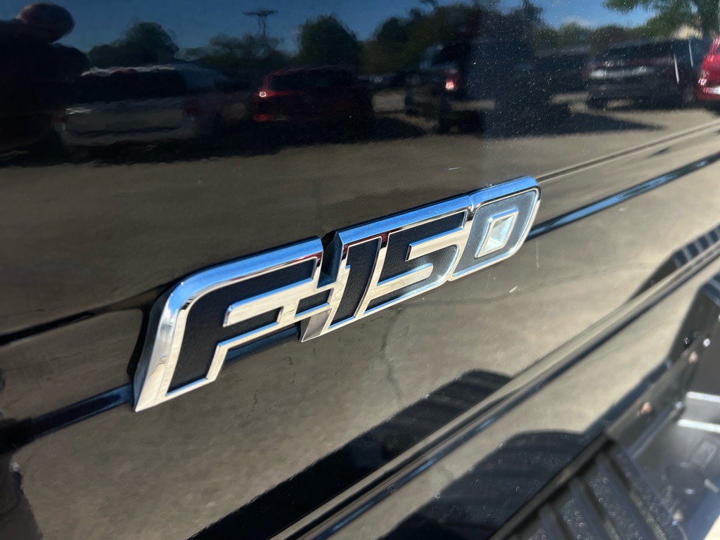2010 Ford F-150 Image 13