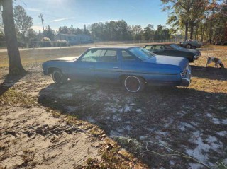Image for 1976 Chevrolet Caprice  ID: 7155428