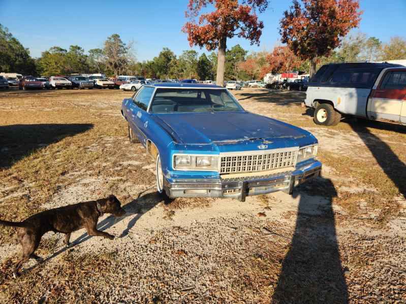 1976 Chevrolet Caprice Image 3
