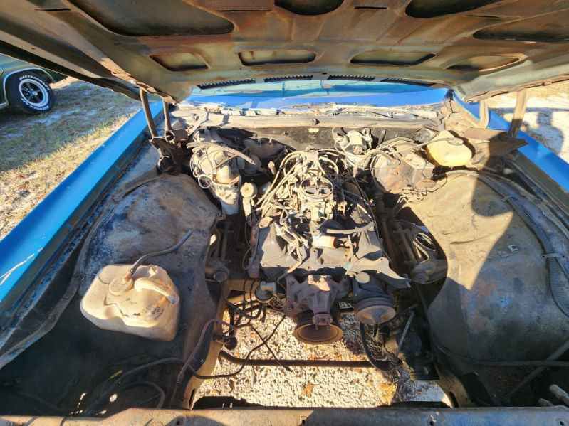 1976 Chevrolet Caprice Image 8