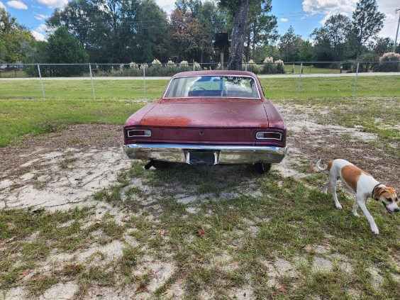 1966 Chevrolet Chevelle Image 16