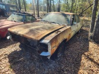 Image for 1978 Chevrolet Nova  ID: 7305400