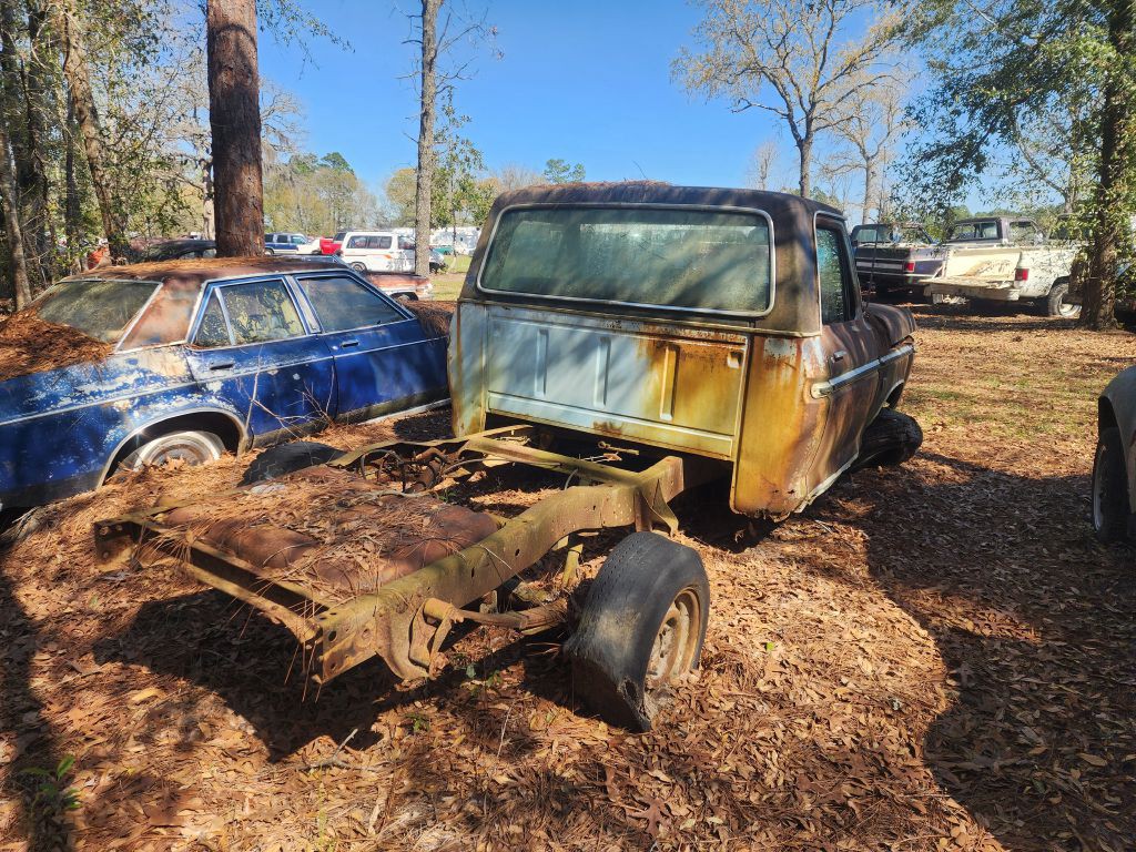 1977 Ford F-150 Image 2