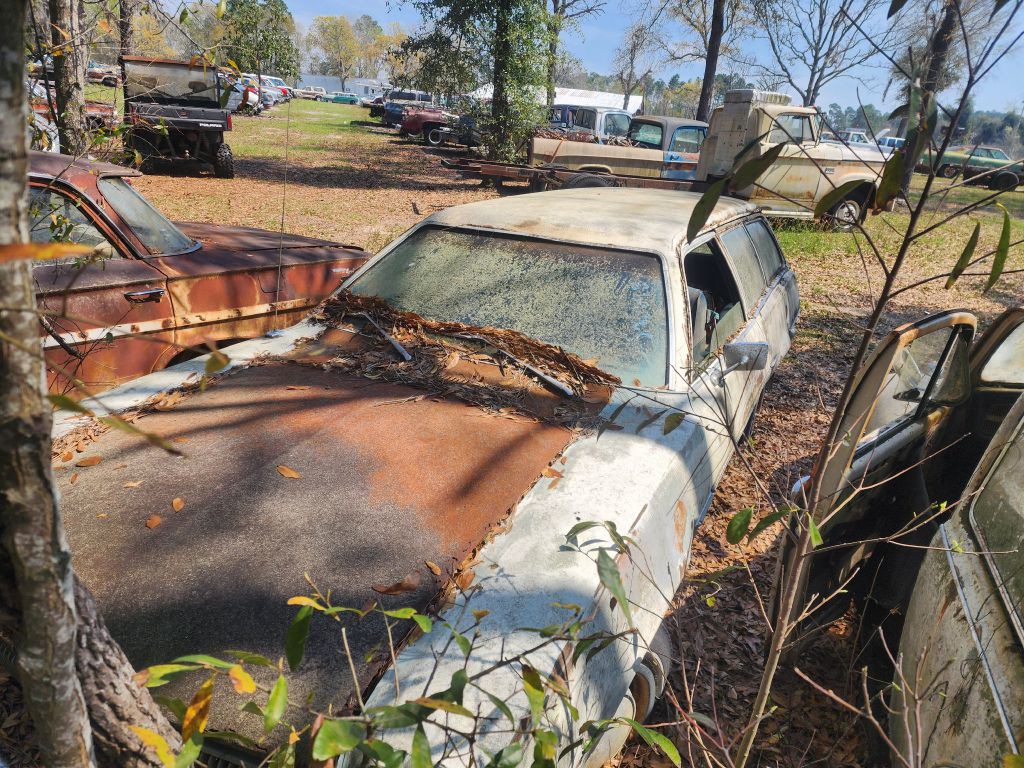 1975 Ford Pinto  Wgn Image 1