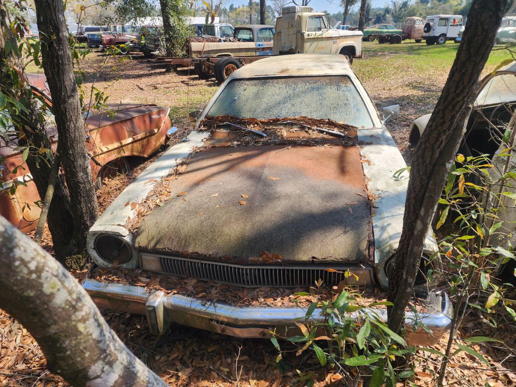 1975 Ford Pinto  Wgn Image 2