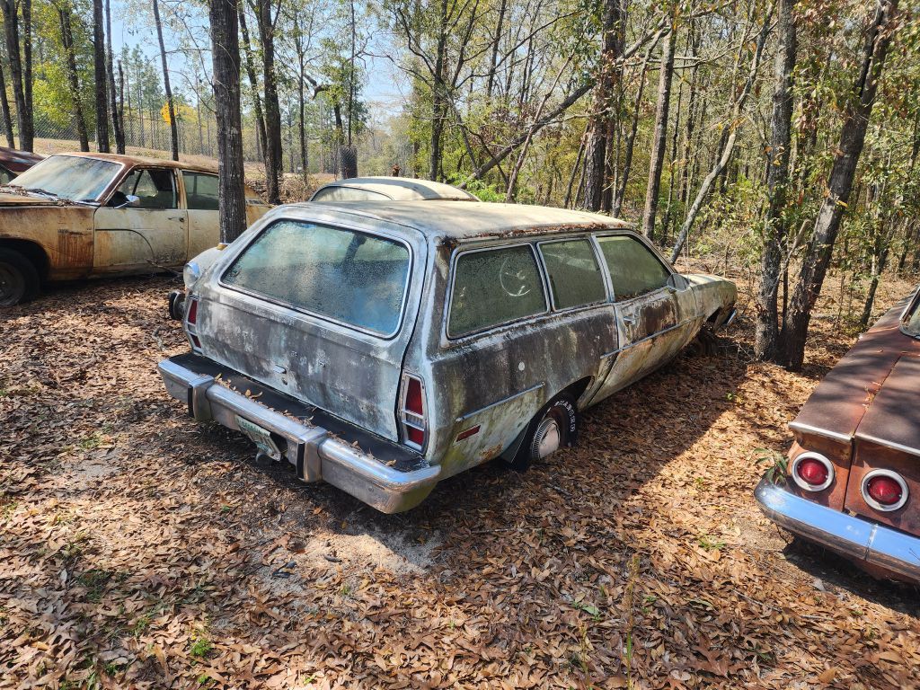 1975 Ford Pinto  Wgn Image 3