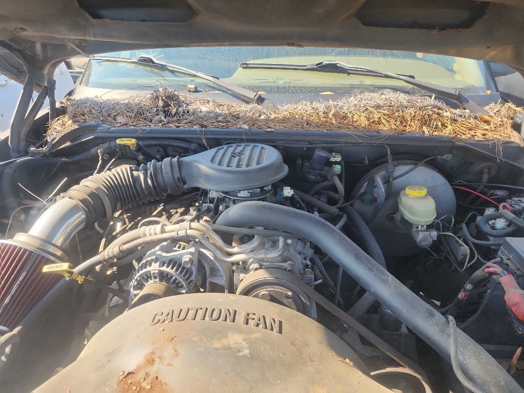 1998 Dodge Dakota Image 4