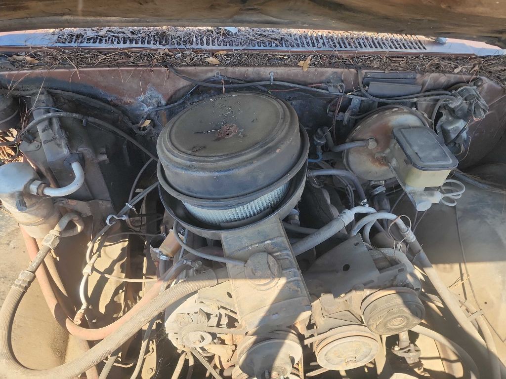 1981 Chevrolet C/K 10 Image 4
