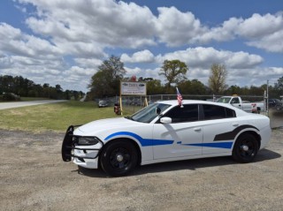 Image for 2017 Dodge Charger Police ID: 7308738