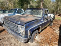 Image for 1976 Chevrolet C/K 10  ID: 7308895