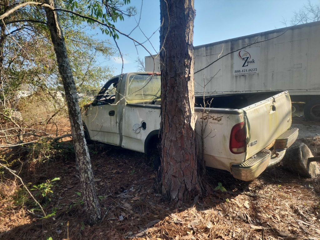 1999 Ford F-150 Image 2