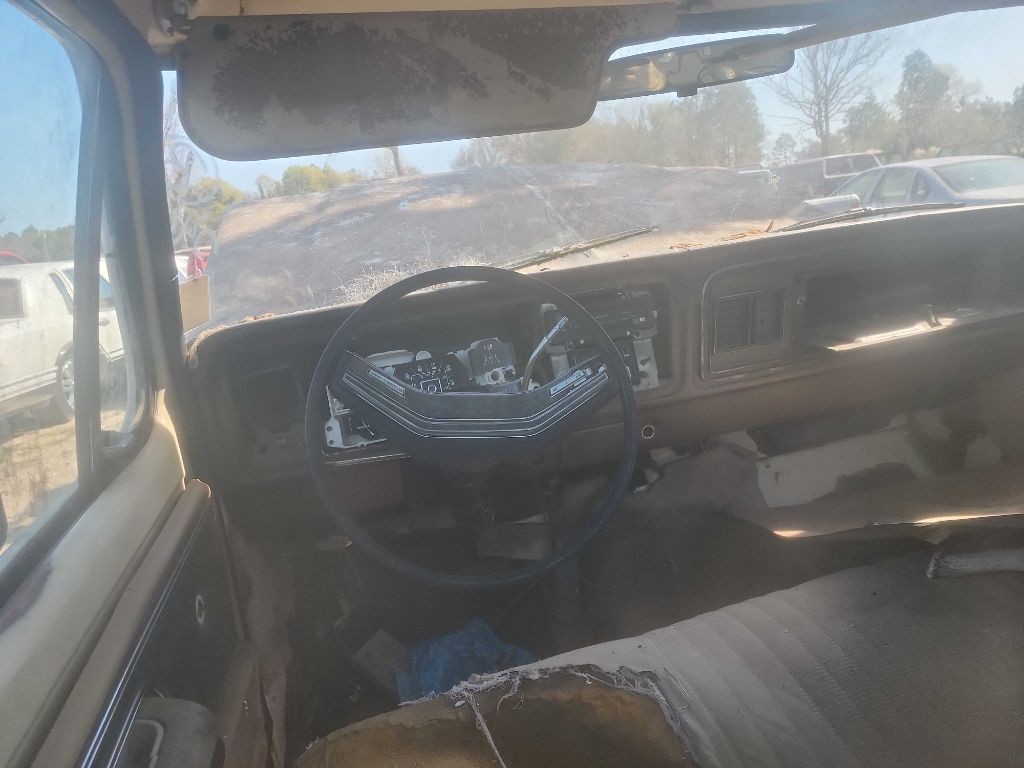 1979 Ford F-250 Image 3