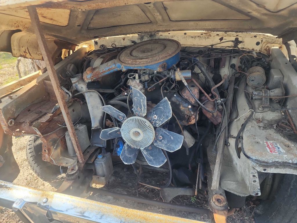 1979 Ford F-250 Image 5