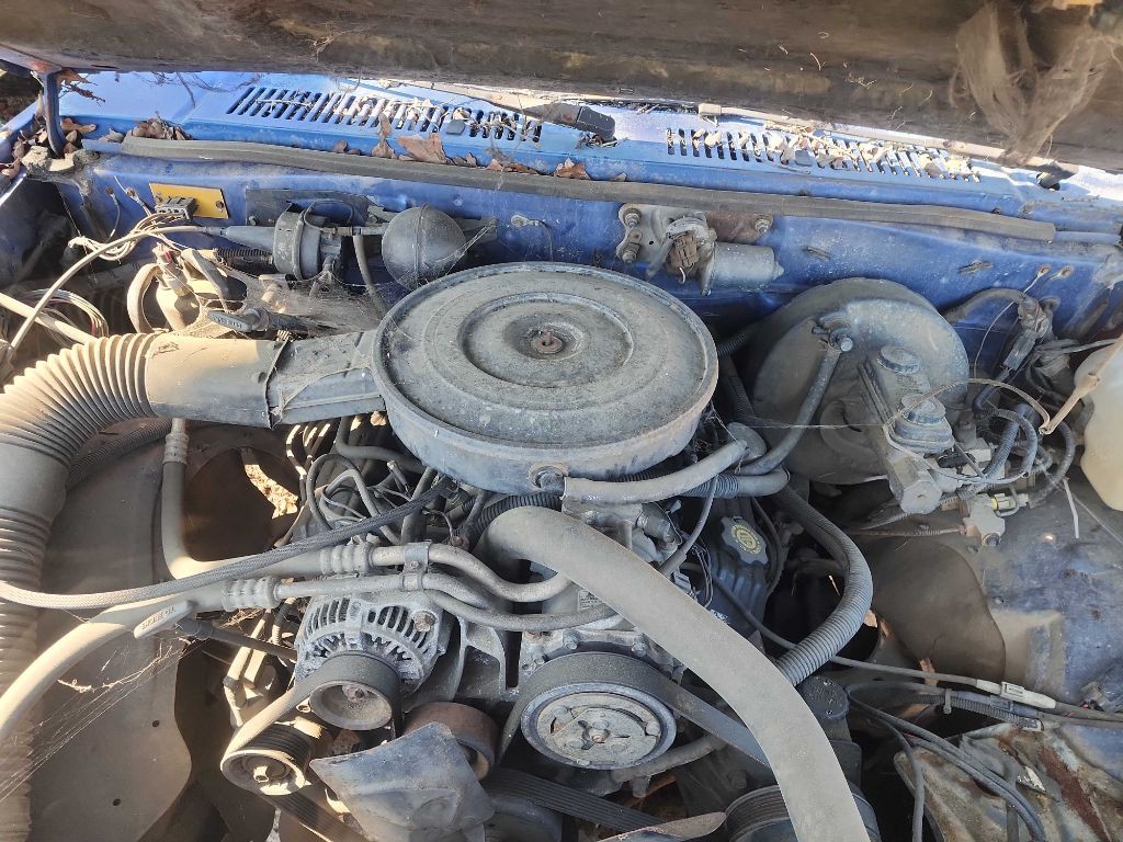 1995 Dodge Dakota Image 4