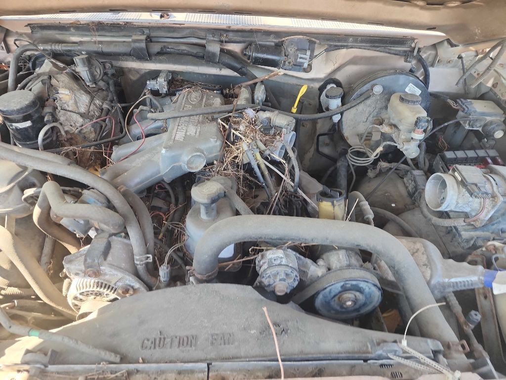 1996 Ford F-150 Image 4