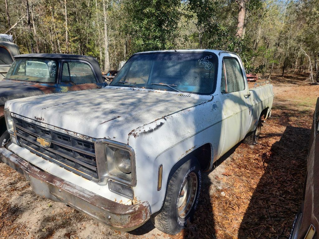 1975 Chevrolet 1/2 Ton Image 1