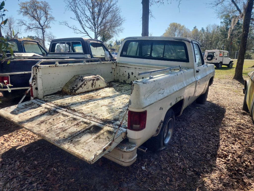 1975 Chevrolet 1/2 Ton Image 2