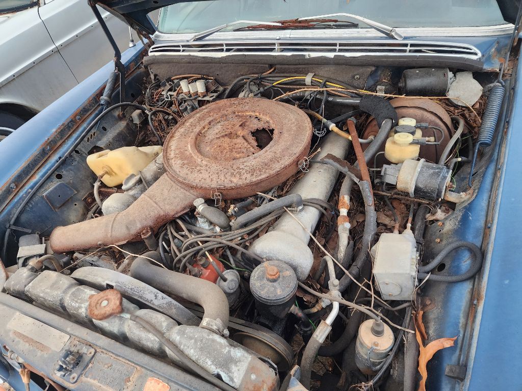 1972 Mercedes-Benz 280 Image 4
